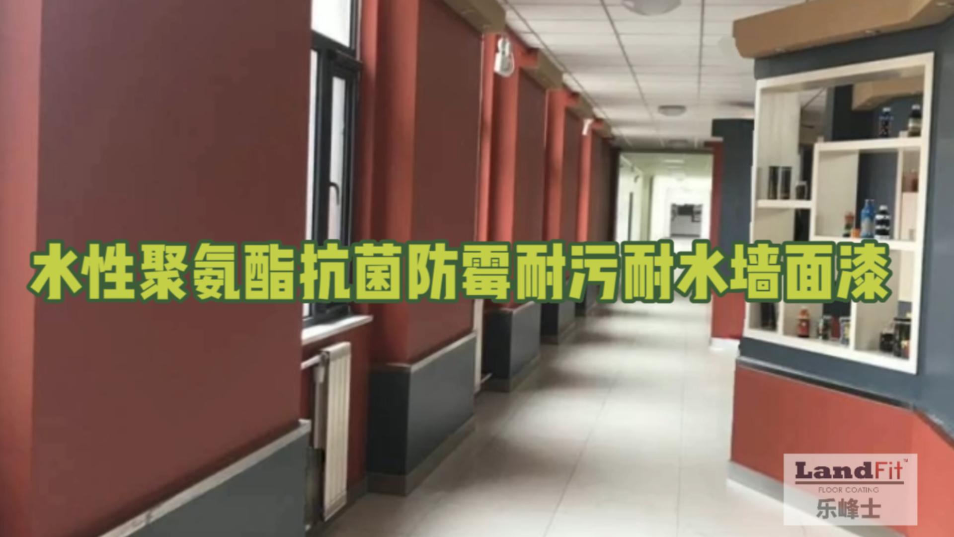 水性聚氨酯抗菌防霉耐污耐水墙面漆