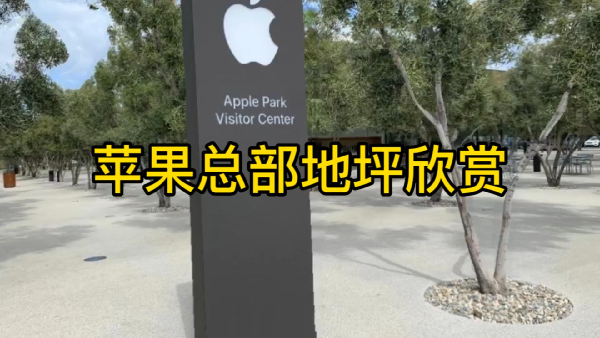 苹果总部地坪欣赏