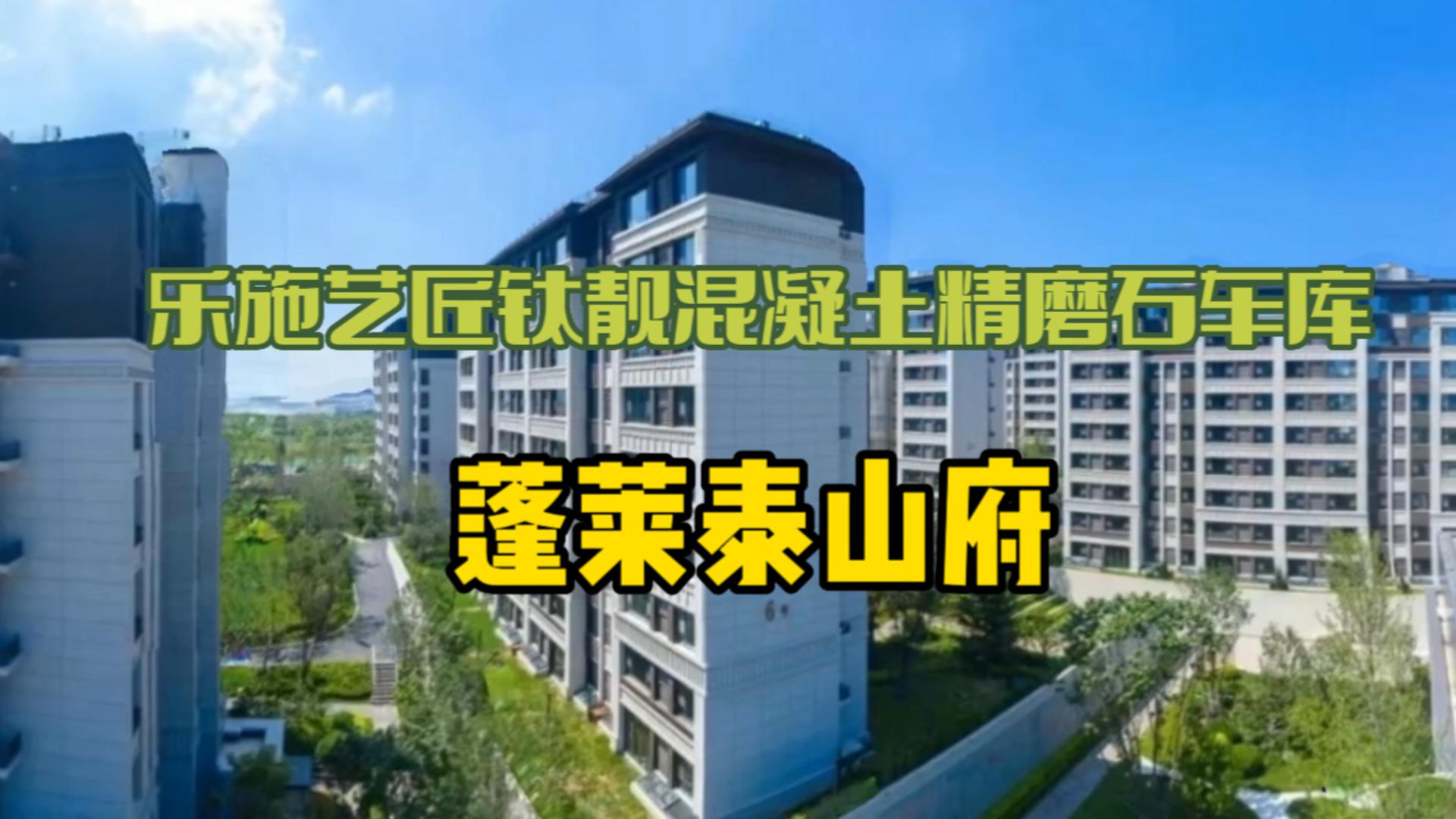 乐施艺匠钛靓混凝土精磨石车库-蓬莱泰山府