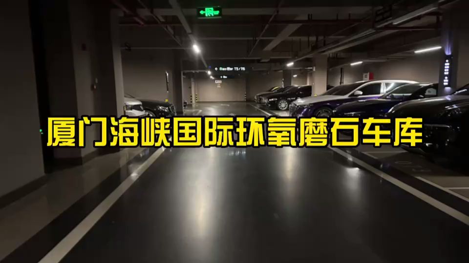 厦门海峡国际环氧磨石车库